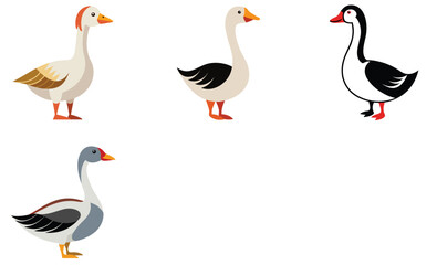 Obraz premium Chinese goose various design vector art set design on white background