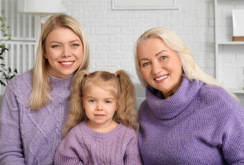 Little girl with her mother and grandmother at home