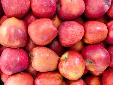 Fresh red apples from the market
