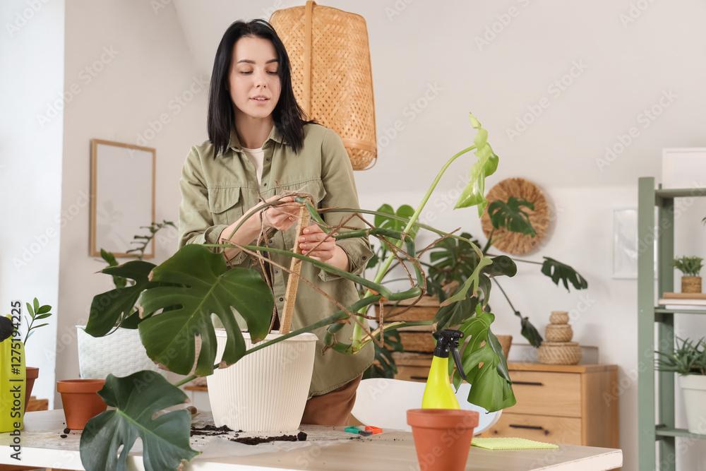 Wall mural Beautiful young woman tying houseplant to plant stake at home