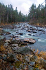Water autumn landscape. A shallow fast mountain river with a rocky bottom. Ural.