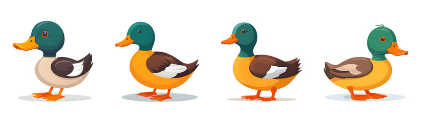 Obraz premium Stylized Duck Illustration