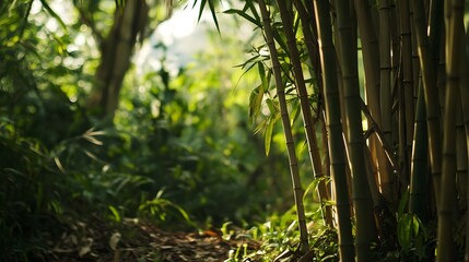 Meticulously Detailed Verdant Bamboo Grove in Lush Forest Landscape with Designated Space for Text
