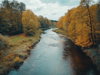 Obraz premium River runs through dense forest