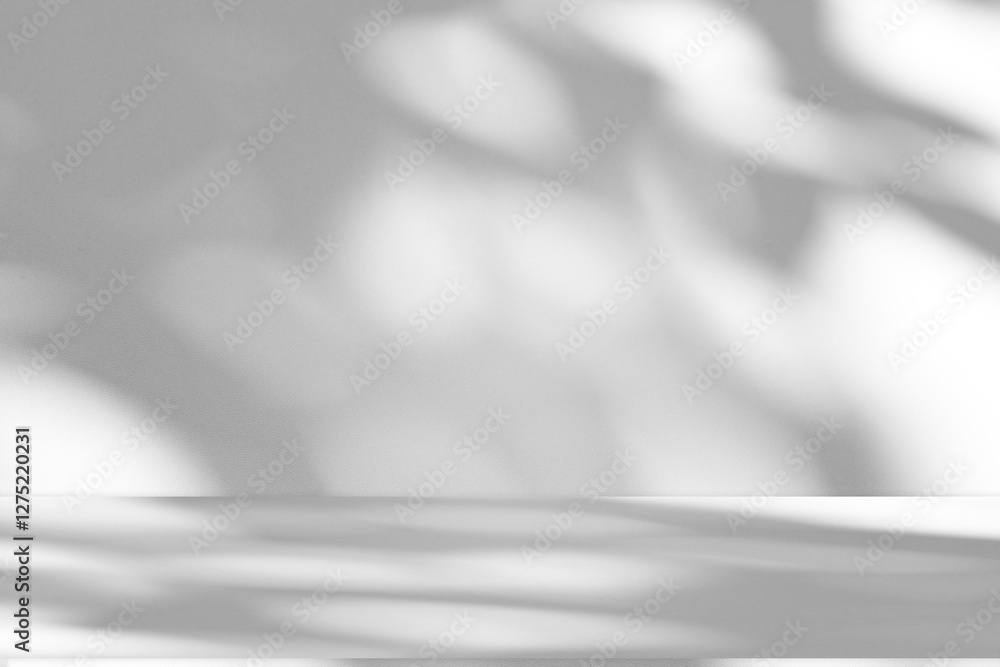 Poster Wall interior background, studio and backdrops show products.with shadow from window color white and grey. background for text insertion and presentation product	