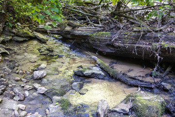 A shallow riverbed with an exposed rocky bottom, a small flow of water, in the spring period of the year