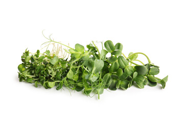 Heap of fresh micro green isolated on white background
