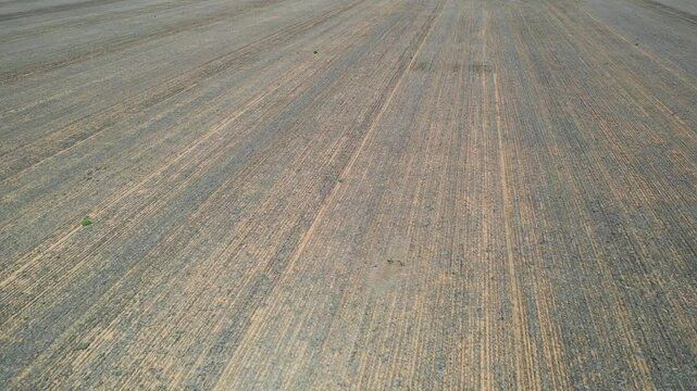 Rural farmland in South Australia