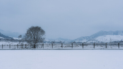 winter landscape in the mountains