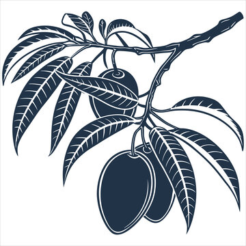 dark mango branch with leaves clip art preview