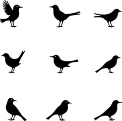 set of silhouettes of birds