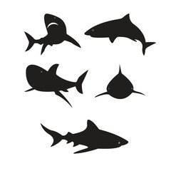 tiger shark fish set silhouette