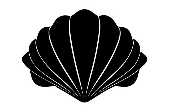 vector illustration of a seashell