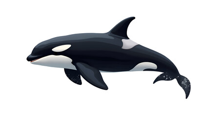 Orca Jumping Isolated on a Transparent Background, Photo Illustration Image Picture Animation, Isolate On Transparent Background 