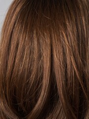Fototapeta premium Straight Brown Hair Back View with Natural Highlights