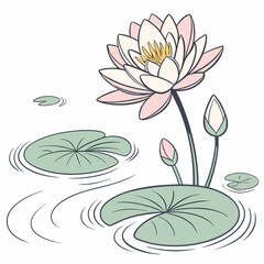 pink water lily flower