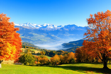 Autumnal alpine valley panorama, misty morning