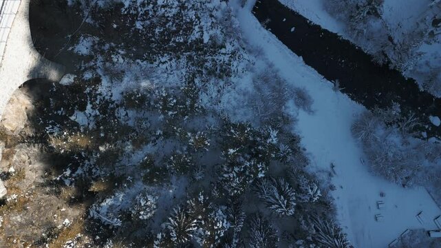 Ein verschneiter Wald im Albulatal