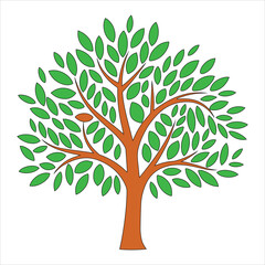 Obraz premium tree with green leaves