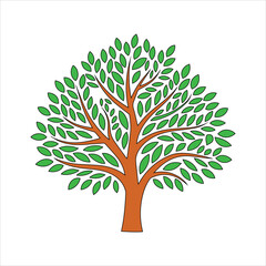 Fototapeta premium vector tree with green leaves