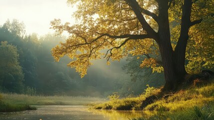 Golden Autumn Oak Tree by Tranquil Stream at Sunrise