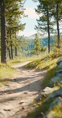 Fototapeta premium Mountain trail path, summer hike, forest scene, nature background, travel photo.