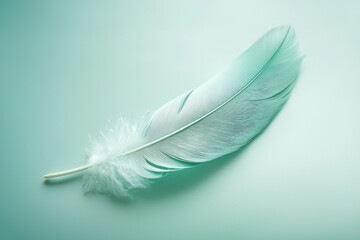 Obraz premium A delicate, pastel-colored feather lies gently on a soft surface, showcasing its intricate details and ethereal beauty, perfect for serene imagery.