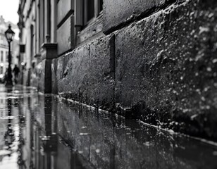 Fototapeta premium Rainy Street Scene in Black and White Reflecting City Architecture