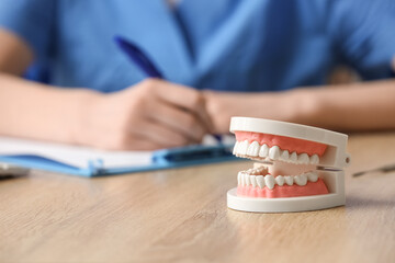 Female dentist with artificial jaw, closeup