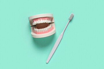 Jaw model with toothbrush on turquoise background