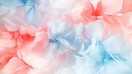 Fototapeta premium Beautiful Soft Petals with Gradients of Pink and Blue Colors for Background or Decoration Use