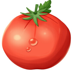 tomato drawing