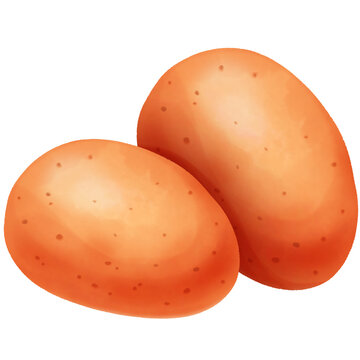two brown potatoes on white background clip art preview