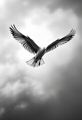 Obraz premium Seagull Soaring High in Cloudy Sky Breathtaking Black and White