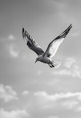 Obraz premium Seagull Flying Against Cloudy Sky in Black and White