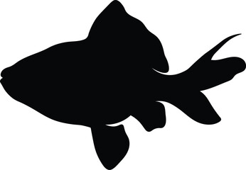 Silhouette goldfish isolated on white background, vector illustration.