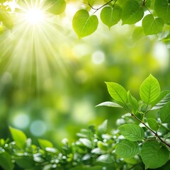 Obraz premium Sunlit Green Leaves in Spring
