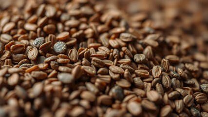 Fototapeta premium Close-Up Dark Chocolate Malt Barley Grains for Craft Brewing - Ale, Lager, Stout