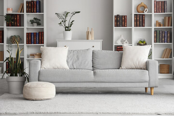Interior of modern living room with sofa and bookshelves