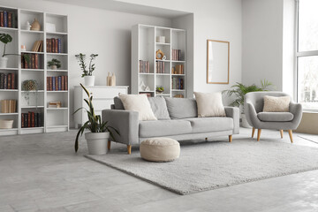 Interior of modern living room with sofa, armchair and bookshelves