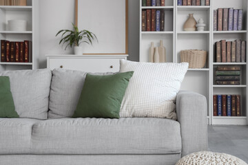 Interior of modern living room with bookcase and cozy sofa
