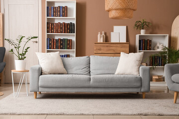 Interior of modern living room with bookcases and cozy sofa