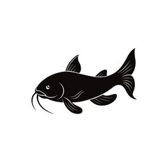  fish vector illustration 