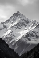 Obraz premium Snowy Mountain Peak Landscape with Evergreen Trees and Moody Sky