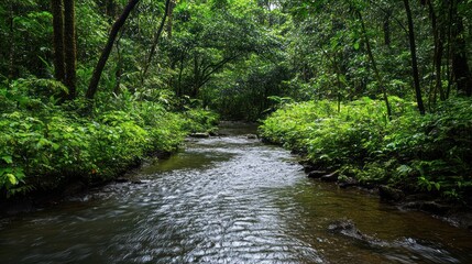 Obraz premium A River Flows in a Calm Forest Amid Lush Green Plants and Softly Illuminated by the Sun