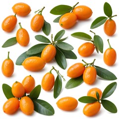 Fresh Kumquats with Leaves