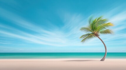 Obraz premium A professional, high-resolution photograph of a palm tree in the foreground