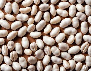 White Beans Background Texture