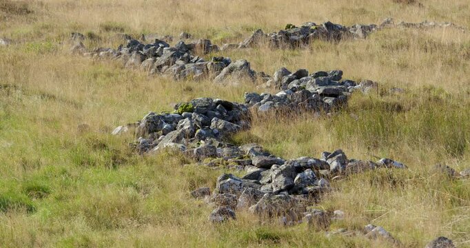 mid shot looking over the Blaenrhondda hut circle settlement at Hendre'r Mynydd,