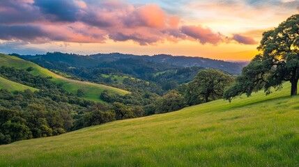 Naklejka premium Serene California Sunset illuminates Rolling Green Hills and Oak Trees.